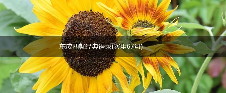东成西就经典语录(实用67句),第1张