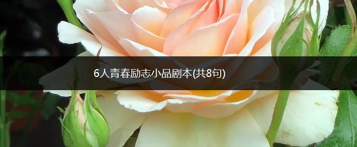 6人青春励志小品剧本(共8句),第1张