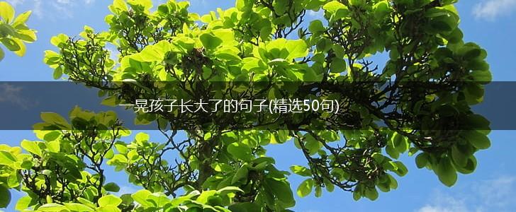 一晃孩子长大了的句子(精选50句),第1张