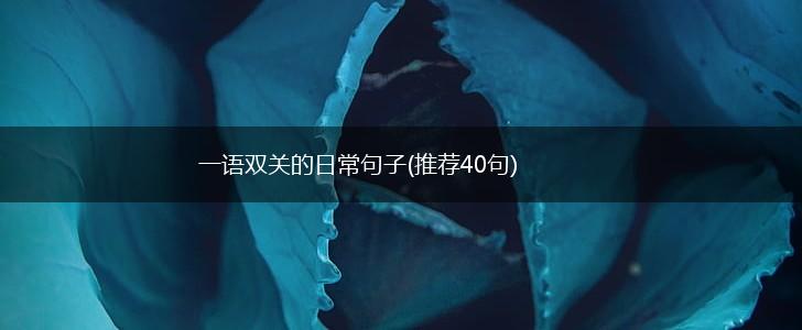一语双关的日常句子(推荐40句),第1张