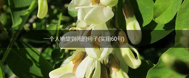 一个人绝望到死的句子(实用60句),第1张
