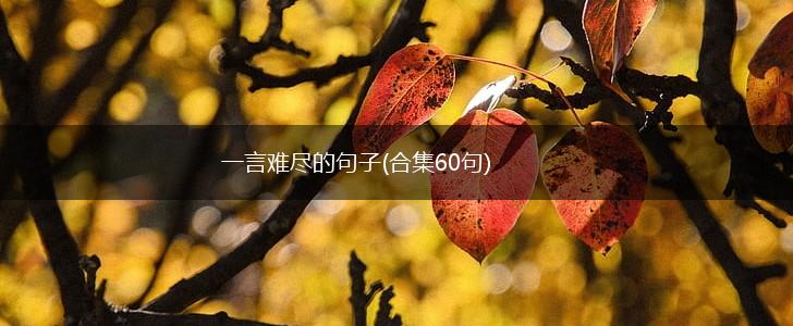 一言难尽的句子(合集60句),第1张