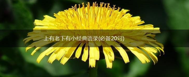 上有老下有小经典语录(必备20句),第1张