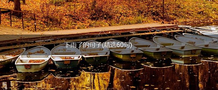 下雨了的句子(精选60句),第1张