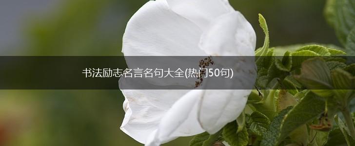 书法励志名言名句大全(热门50句),第1张