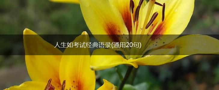 人生如考试经典语录(通用20句),第1张