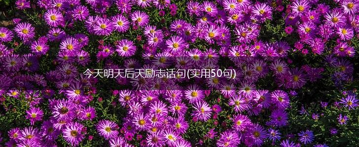 今天明天后天励志话句(实用50句),第1张