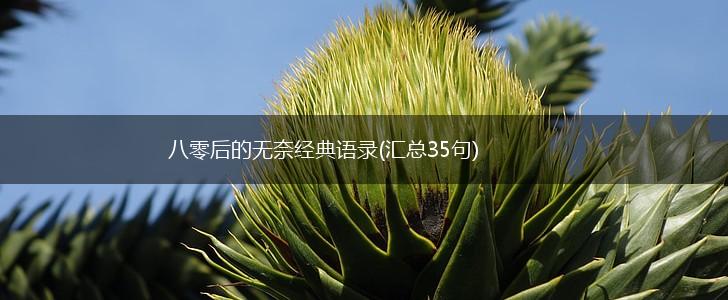 八零后的无奈经典语录(汇总35句),第1张