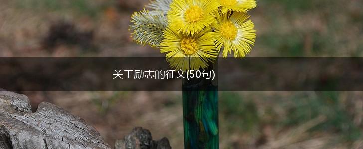关于励志的征文(50句),第1张