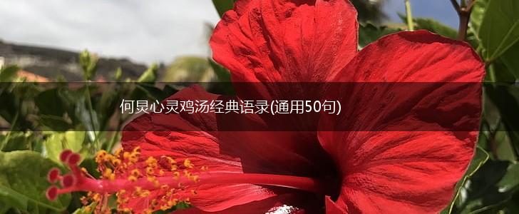 何炅心灵鸡汤经典语录(通用50句),第1张