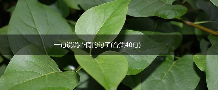 一句说说心情的句子(合集40句),第1张