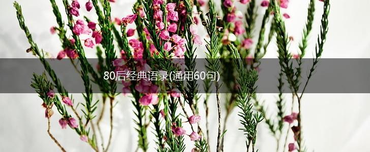 80后经典语录(通用60句),第1张