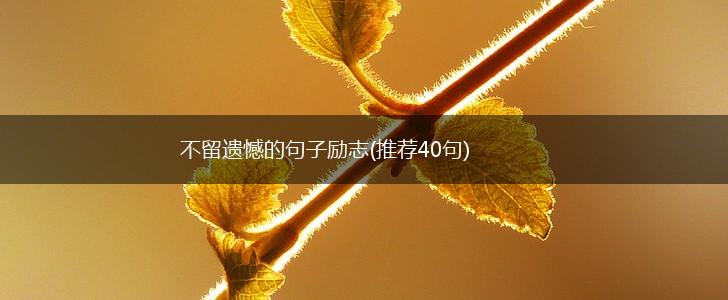 不留遗憾的句子励志(推荐40句),第1张