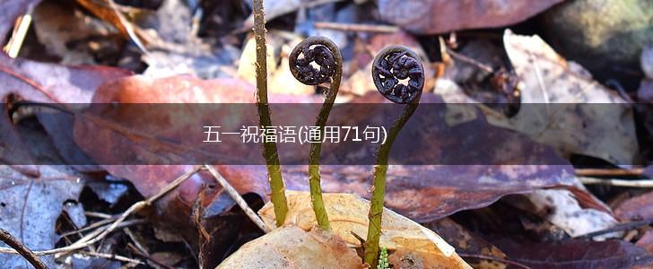 五一祝福语(通用71句),第1张