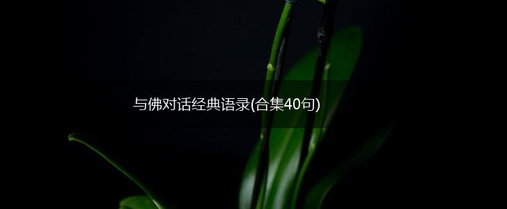 与佛对话经典语录(合集40句),第1张