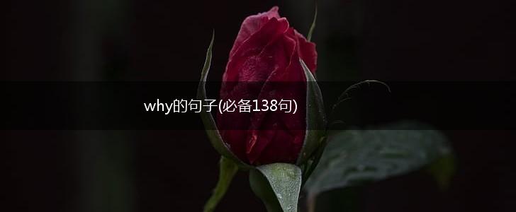 why的句子(必备138句),第1张