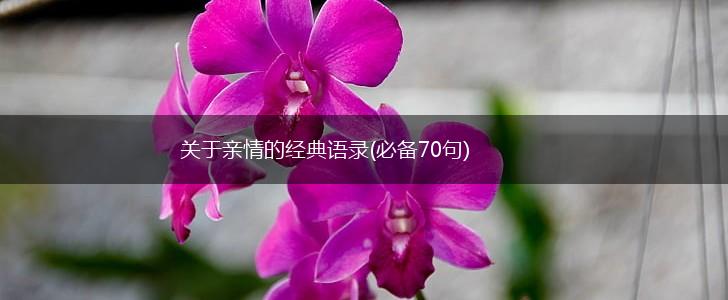 关于亲情的经典语录(必备70句),第1张