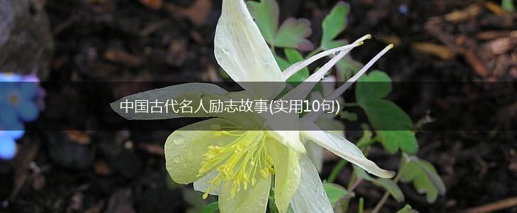 中国古代名人励志故事(实用10句),第1张