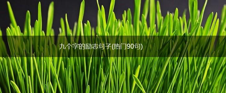 九个字的励志句子(热门90句),第1张