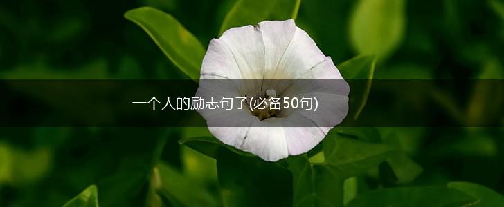 一个人的励志句子(必备50句),第1张