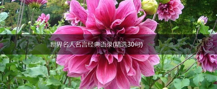 世界名人名言经典语录(精选30句),第1张