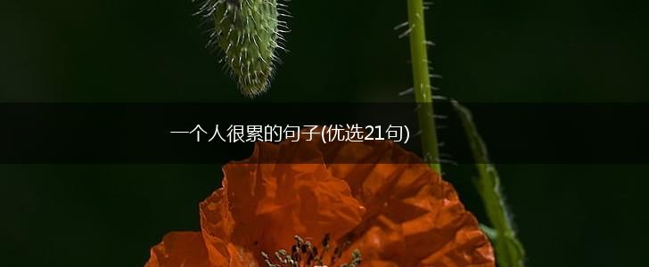 一个人很累的句子(优选21句),第1张