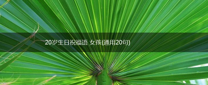 20岁生日祝福语 女孩(通用20句),第1张