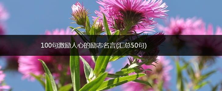 100句激励人心的励志名言(汇总50句),第1张