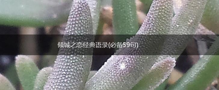 倾城之恋经典语录(必备59句),第1张