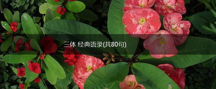 三体 经典语录(共80句),第1张
