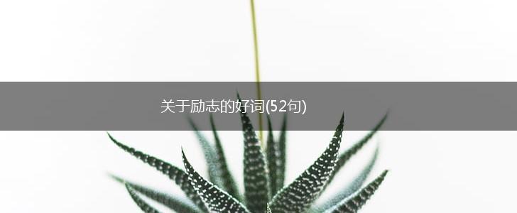 关于励志的好词(52句),第1张