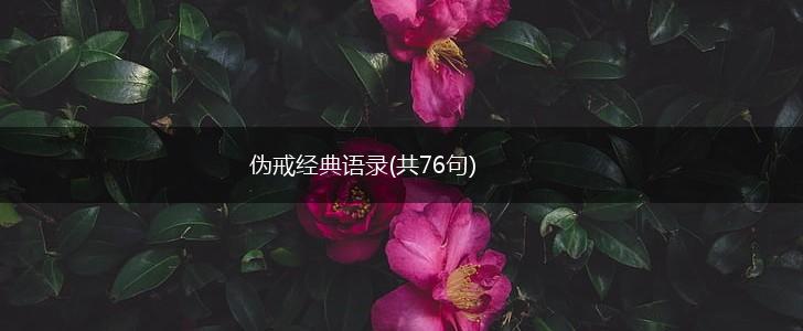伪戒经典语录(共76句),第1张