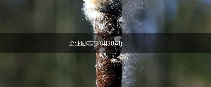 企业励志(通用50句),第1张