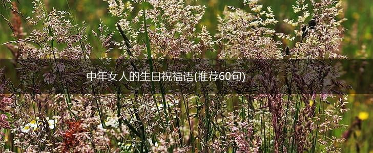 中年女人的生日祝福语(推荐60句),第1张