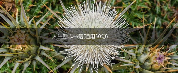 人生励志书籍(通用50句),第1张