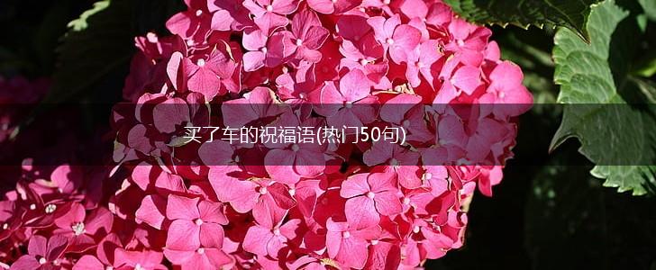 买了车的祝福语(热门50句),第1张