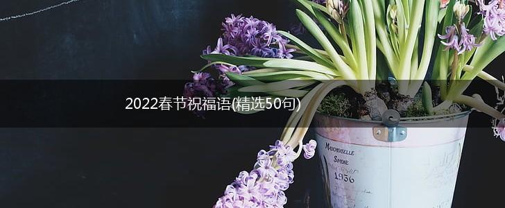 2022春节祝福语(精选50句),第1张
