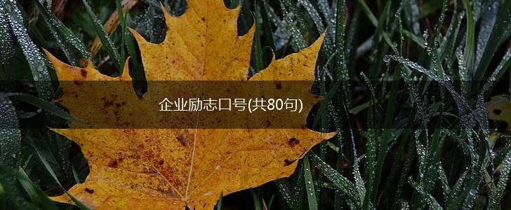 企业励志口号(共80句),第1张