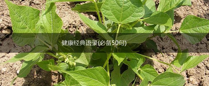 健康经典语录(必备50句),第1张