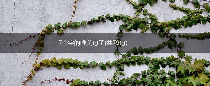 7个字的唯美句子(共79句),第1张