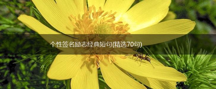 个性签名励志经典短句(精选70句),第1张