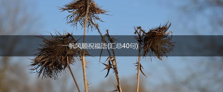 一帆风顺祝福语(汇总40句),第1张
