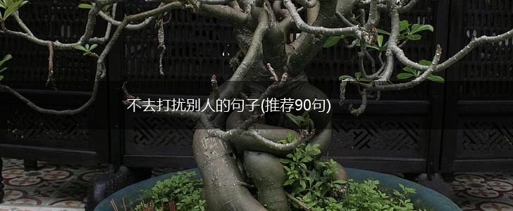 不去打扰别人的句子(推荐90句),第1张
