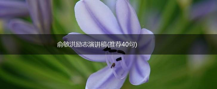 俞敏洪励志演讲稿(推荐40句),第1张