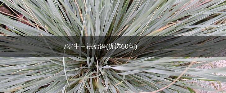 7岁生日祝福语(优选60句),第1张