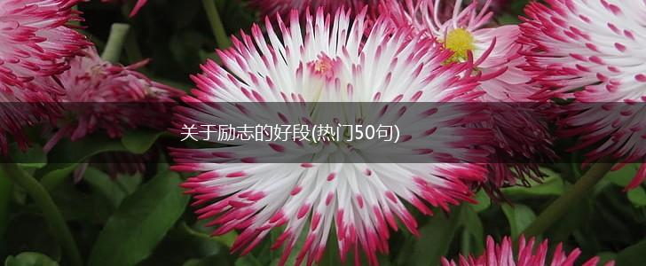 关于励志的好段(热门50句),第1张