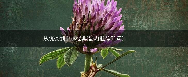 从优秀到卓越经典语录(推荐61句),第1张