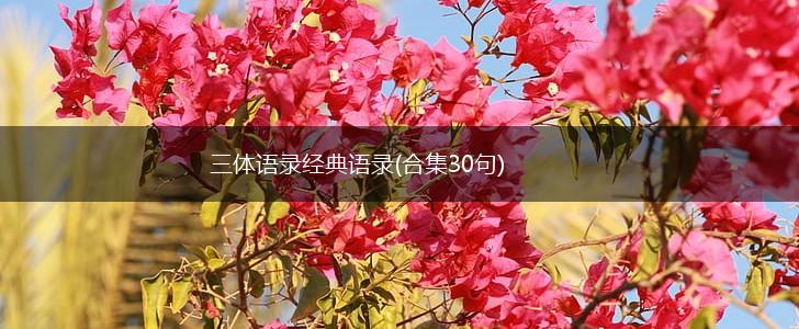 三体语录经典语录(合集30句),第1张