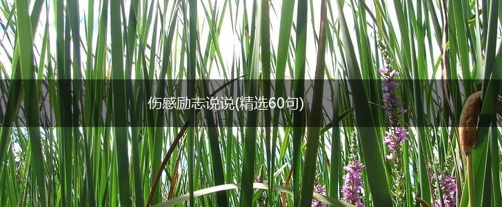 伤感励志说说(精选60句),第1张