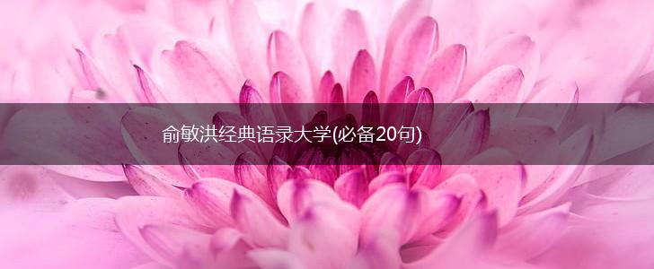 俞敏洪经典语录大学(必备20句),第1张